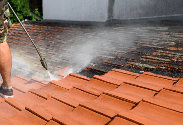Best House Pressure Washing  in Juarez, TX