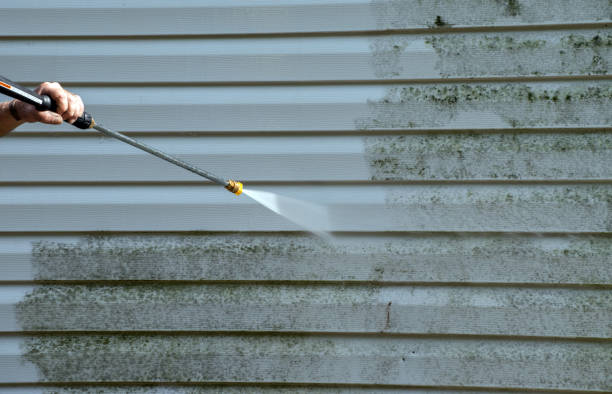 Best Local Pressure Washing Services  in Juarez, TX